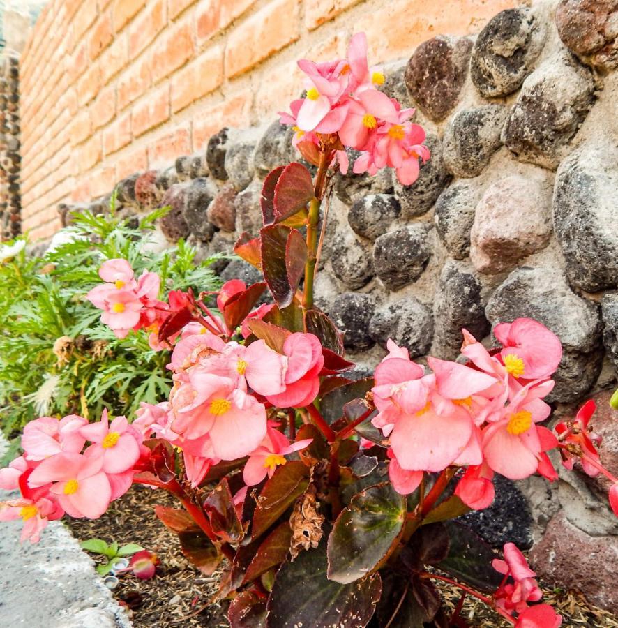 Pampa Garden Quillullaco Exterior photo