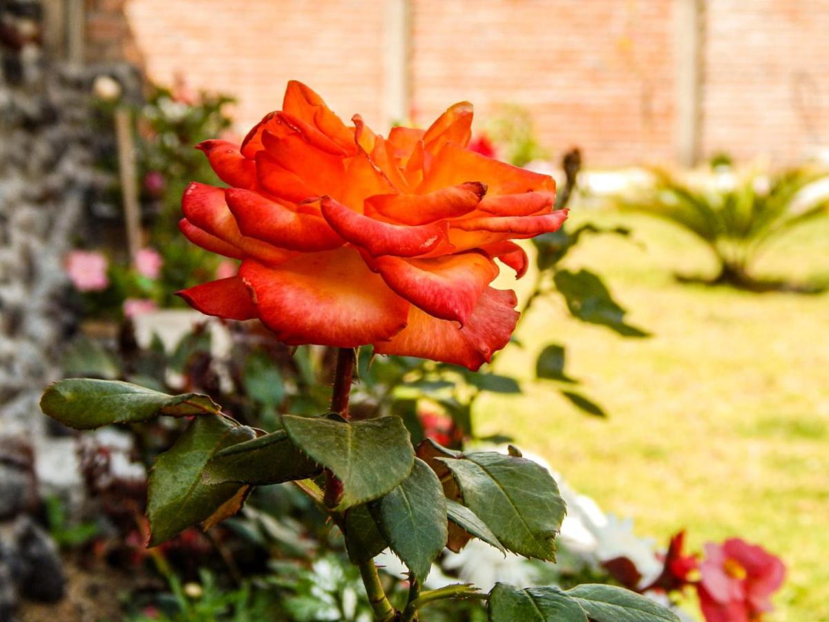 Pampa Garden Quillullaco Exterior photo